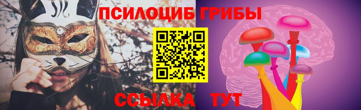 Галлюциногенные грибы Psilocybine cubensis  Вход с VPN  Галлюциногенные грибы Psilocybine cubensis  Зеленокумск 